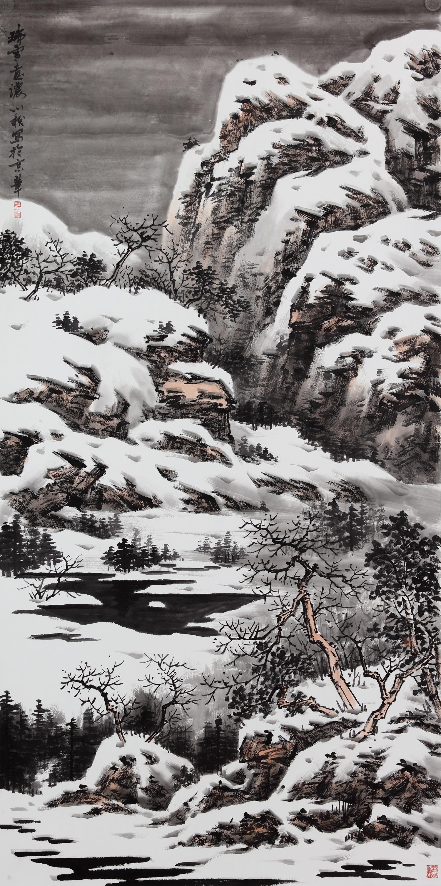 Large Image